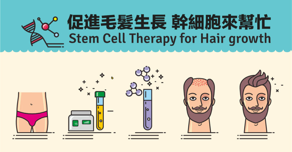 毛囊幹細胞是你最好的生髮來源