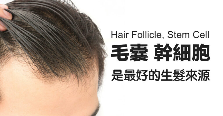 生髮：毛囊幹細胞是你最好的生髮來源